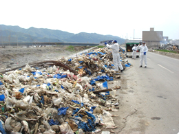 道路端の廃棄物への殺虫剤散布処理。秋田県チーム